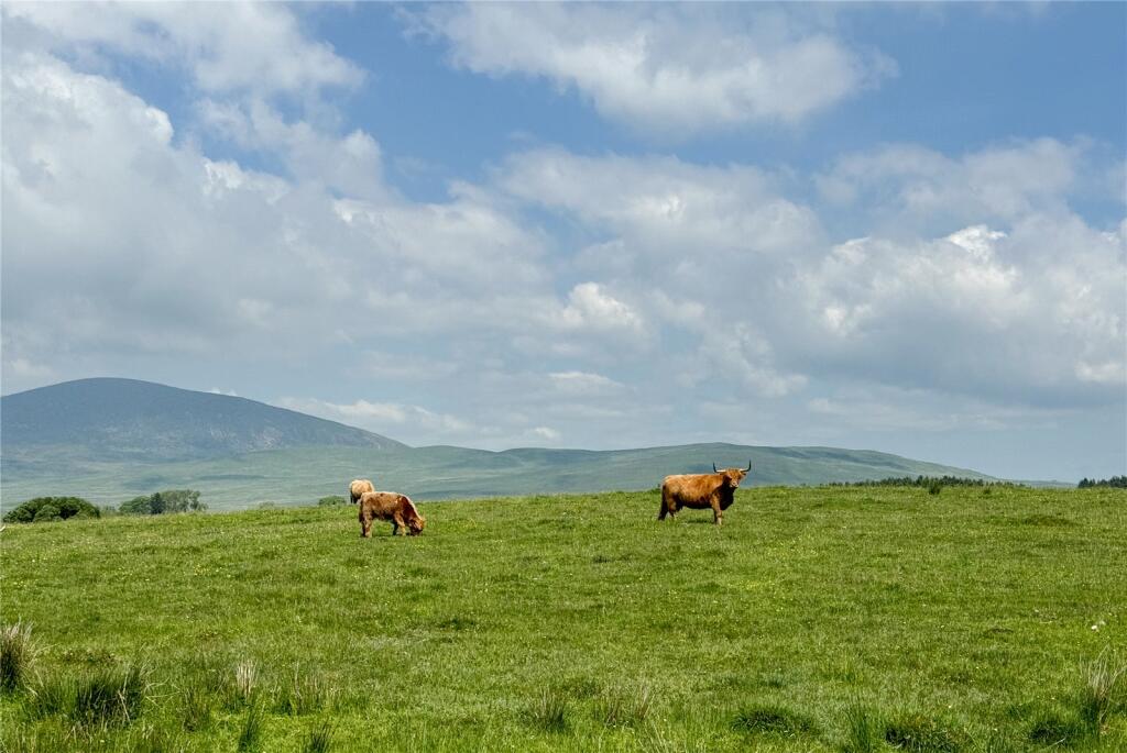 Additional property image - Glenquicken Estate, Creetown, Newton Stewart, Dumfries and Galloway, South West Scotland, DG8
