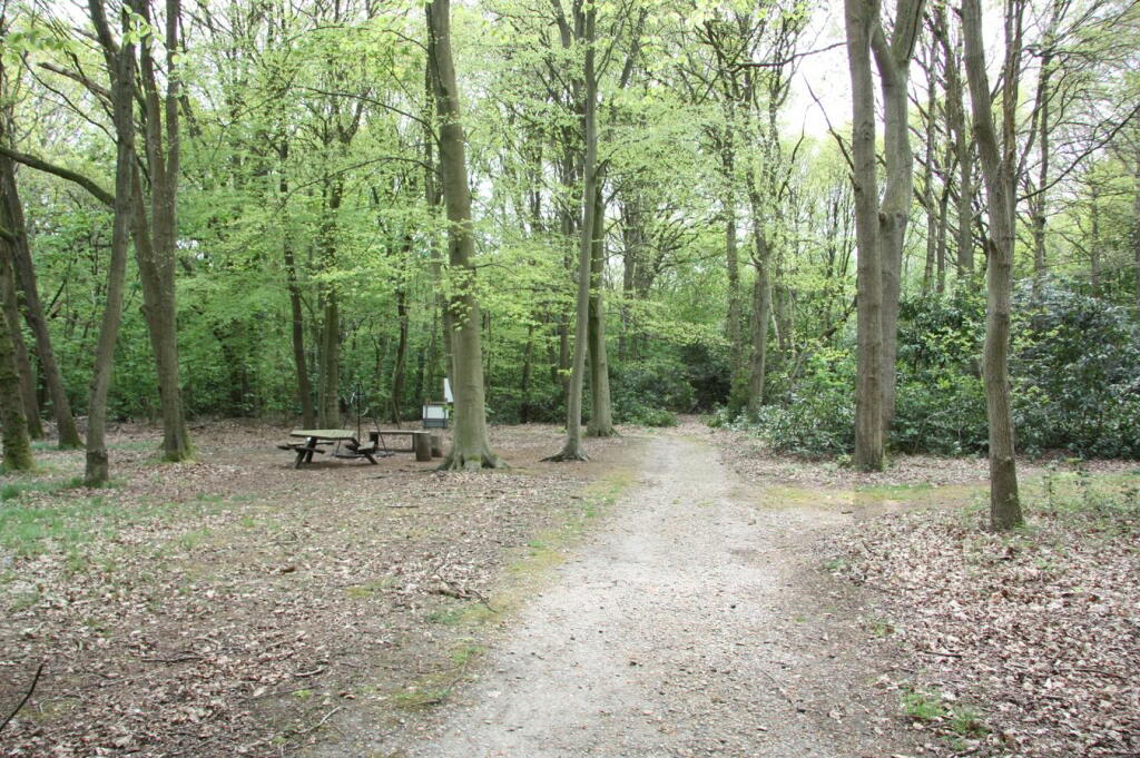 Additional property image - Thorndon Park, Ingrave, Brentwood, CM13