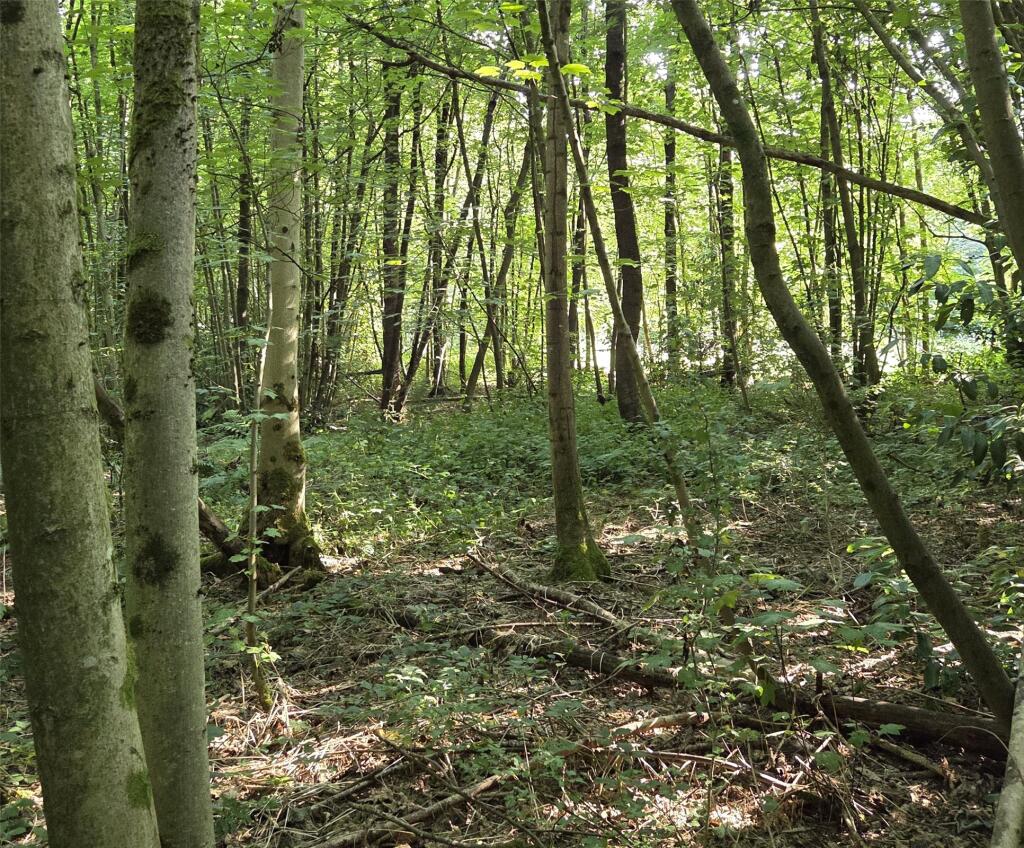 Main image of property: Whitepost Lane, Meopham, Gravesend, Kent, DA13