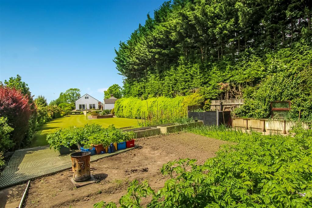 Additional property image - Beaumont Hill, Darlington