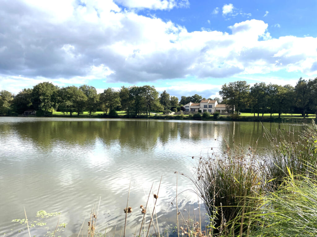 Main image of property: Poitou-Charentes, Vienne, Asnières-sur-Blour