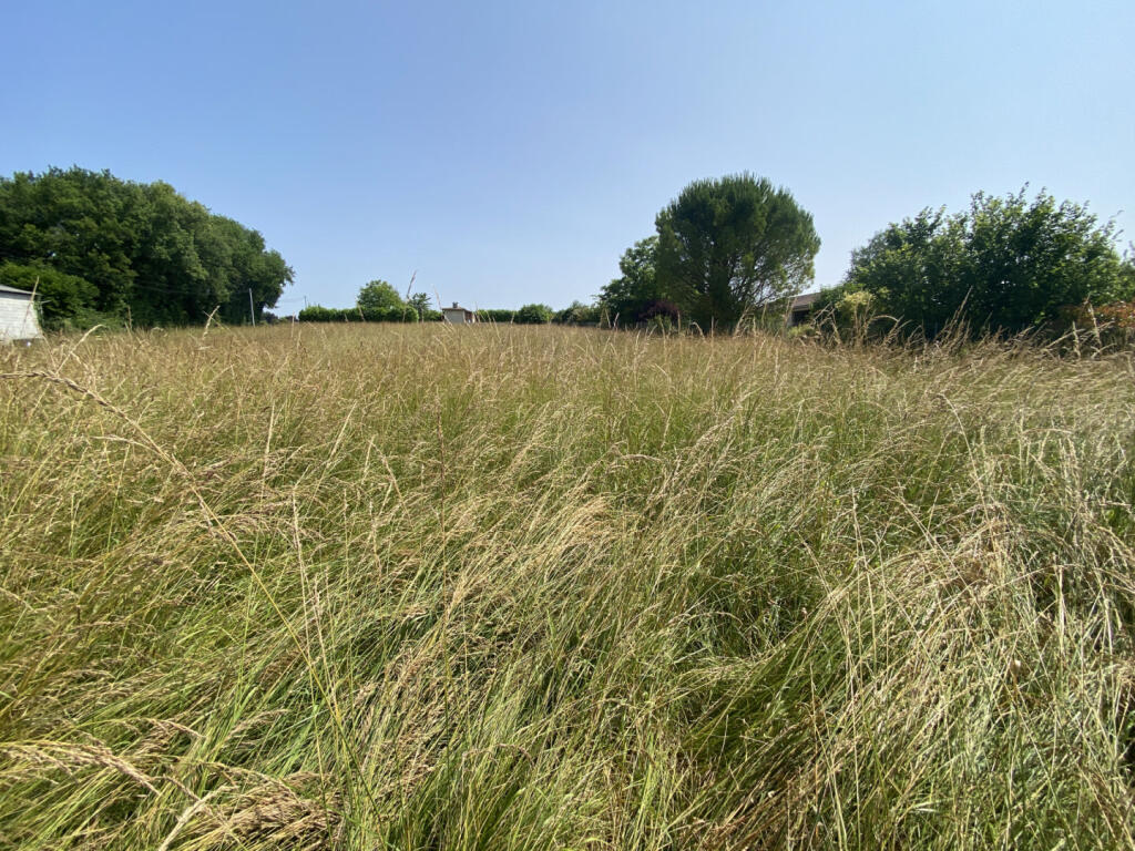 Main image of property: Poitou-Charentes, Charente, Curac
