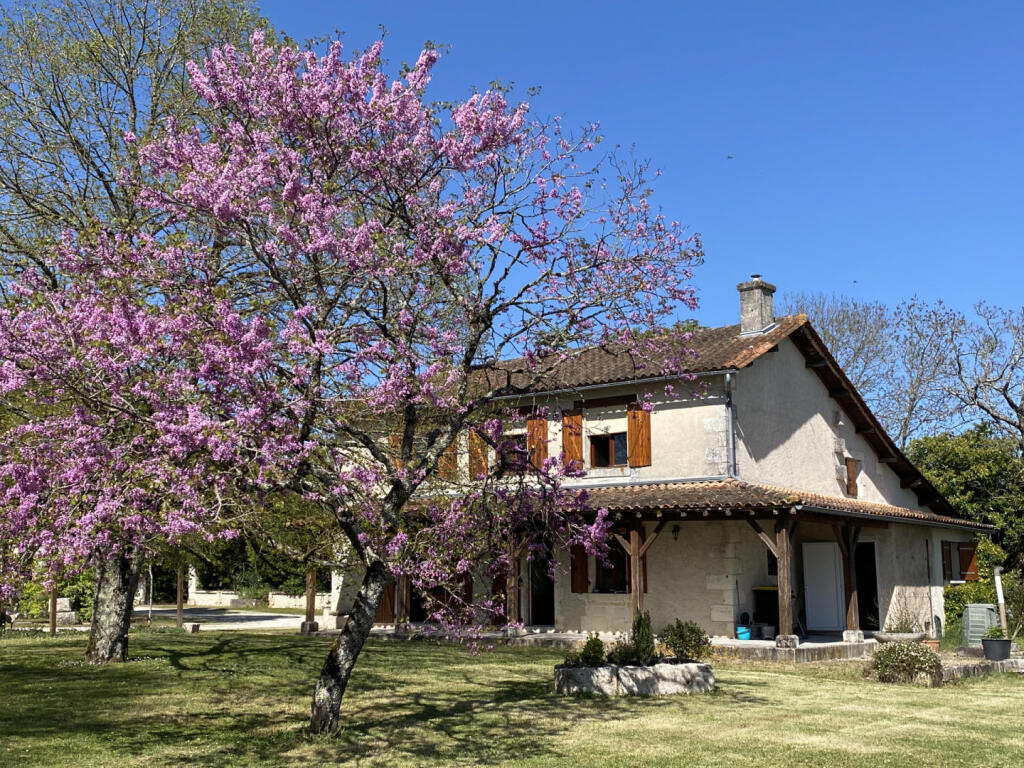 Main image of property: Poitou-Charentes, Charente, Aubeterre-sur-Dronne