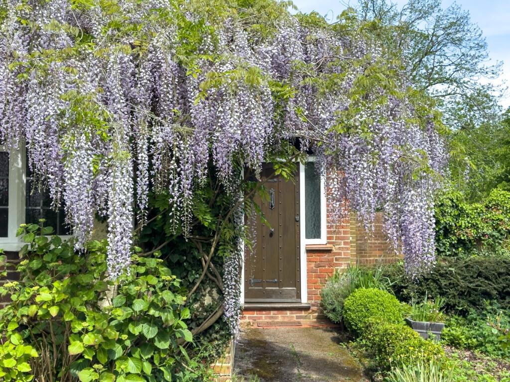 Additional property image - Pear Tree Lane, Shorne, Gravesend, Kent, DA12