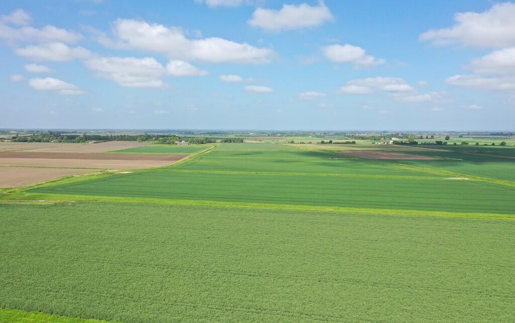 Farm land for sale in Oakhurst Farm Crowland Road Eye Peterborough