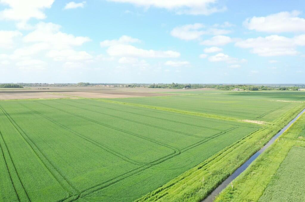 Farm land for sale in Oakhurst Farm Crowland Road Eye Peterborough