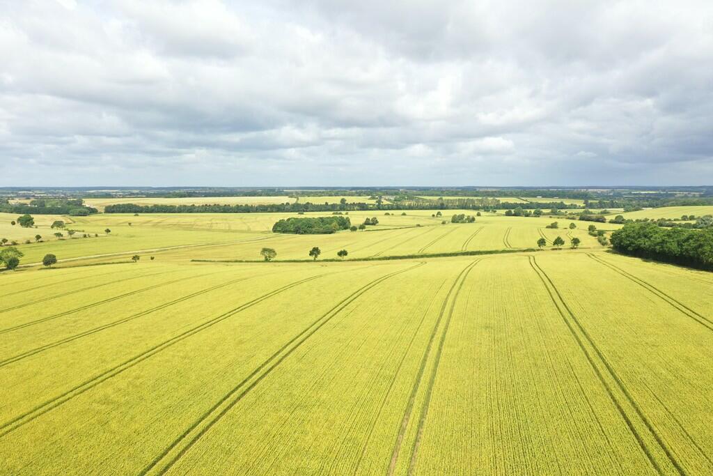 Farm land for sale in Land at Lower Farm Barnwell, PE8