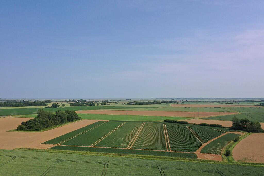 Main image of property: Land at Kirton Fen