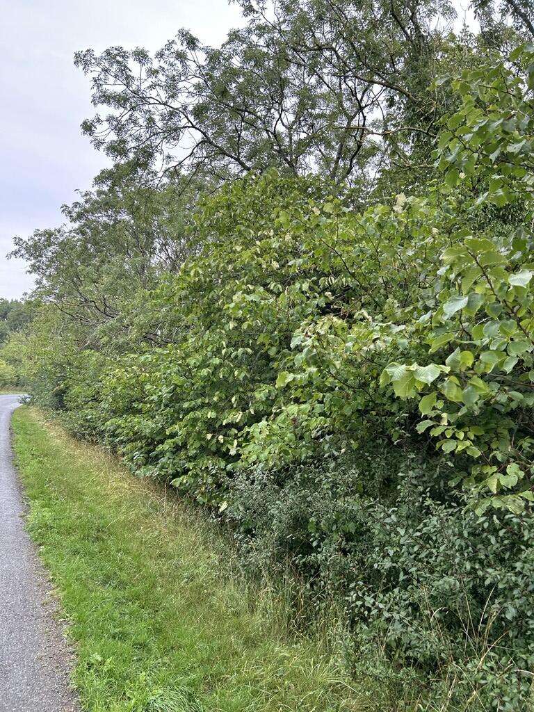Main image of property: Sam's Wood, Hallaton, Leicestershire
