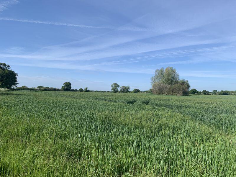 Land for sale in Land at Holmes Chapel Road, Sandbach, CW11