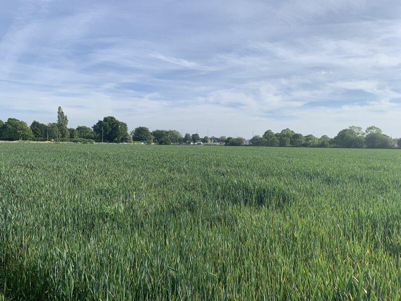 Land for sale in Lot 1 Land at Holmes Chapel Road, Sandbach, CW11