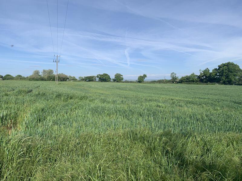 Land for sale in Lot 2 Land at Holmes Chapel Road, Sandbach, CW11