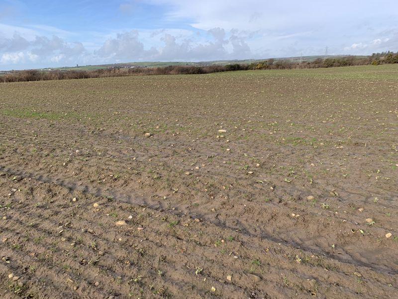 Additional image 2 of Lot 4 - Land at Ehenside Farm, Braystones, Beckermet, CA21 2YL -