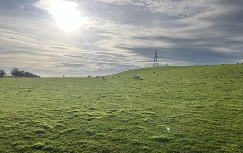 Land for sale in Rothersyke Farm Egremont CA22 2US, CA22