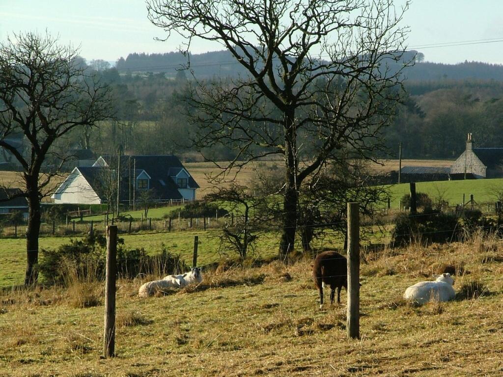 Main image of property: Residential Development - Option 2, Drum, KY13