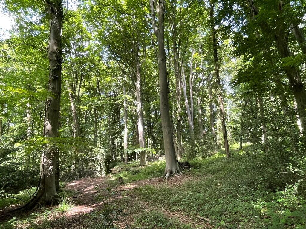Main image of property: Cold Down Copse, off Station Hill, Botley, SO32 2DP