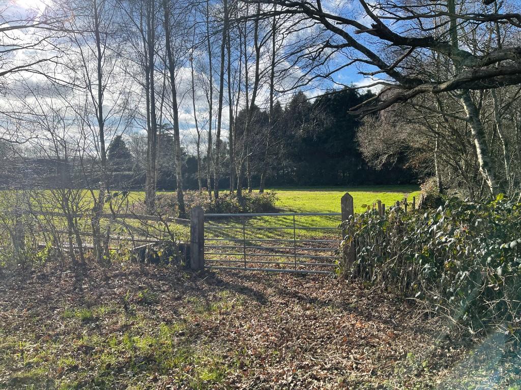 Land for sale in off A272 at Sheet, Nr. Petersfield, GU31 5AT, GU31