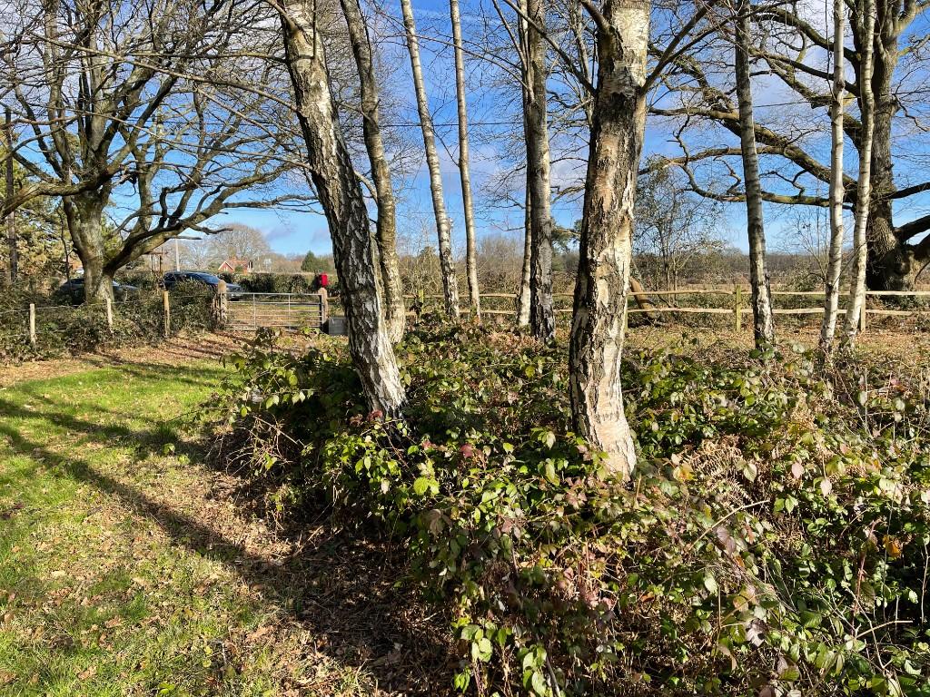 Land for sale in off A272 at Sheet, Nr. Petersfield, GU31 5AT, GU31
