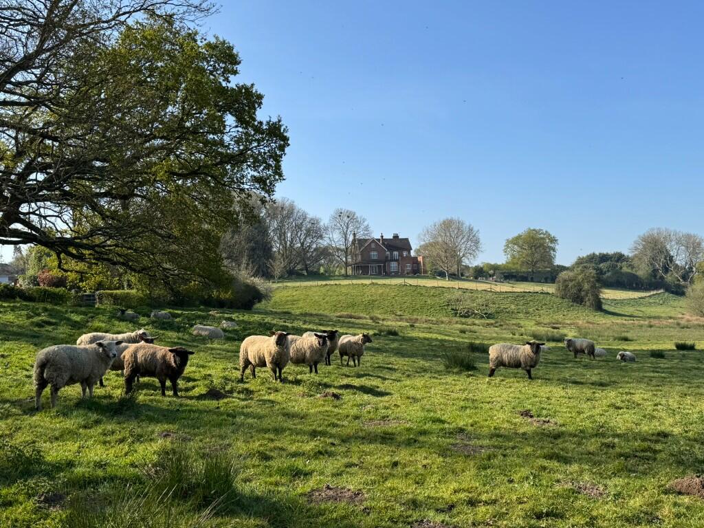 Main image of property: Knowle Meadow, 4.685 Acres of Meadow and Pasture Land, Mincingfield Lane, SO32 2BR