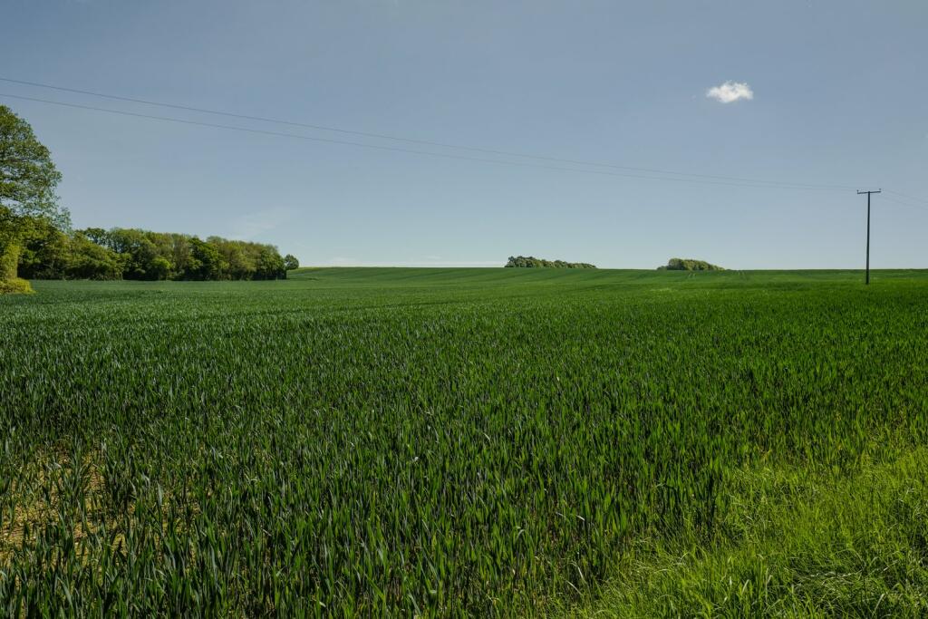 Additional property image - Lower Hardres, Canterbury, CT4