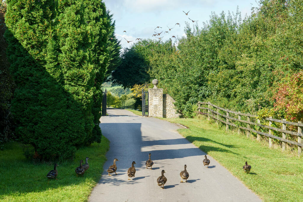 Additional property image - Beckington, Frome, BA11