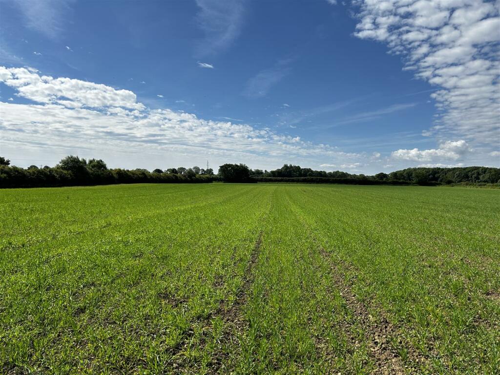 Land for sale in Newton Aycliffe, County Durham, DL5