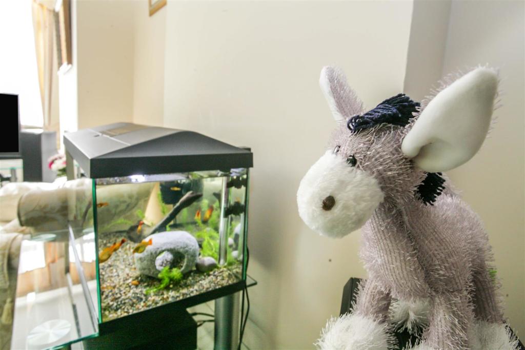 2 bedroom terraced house for sale in Kings Terrace, Basford, StokeOn