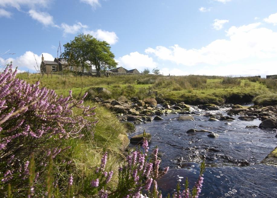 Ford moss northumberland #6