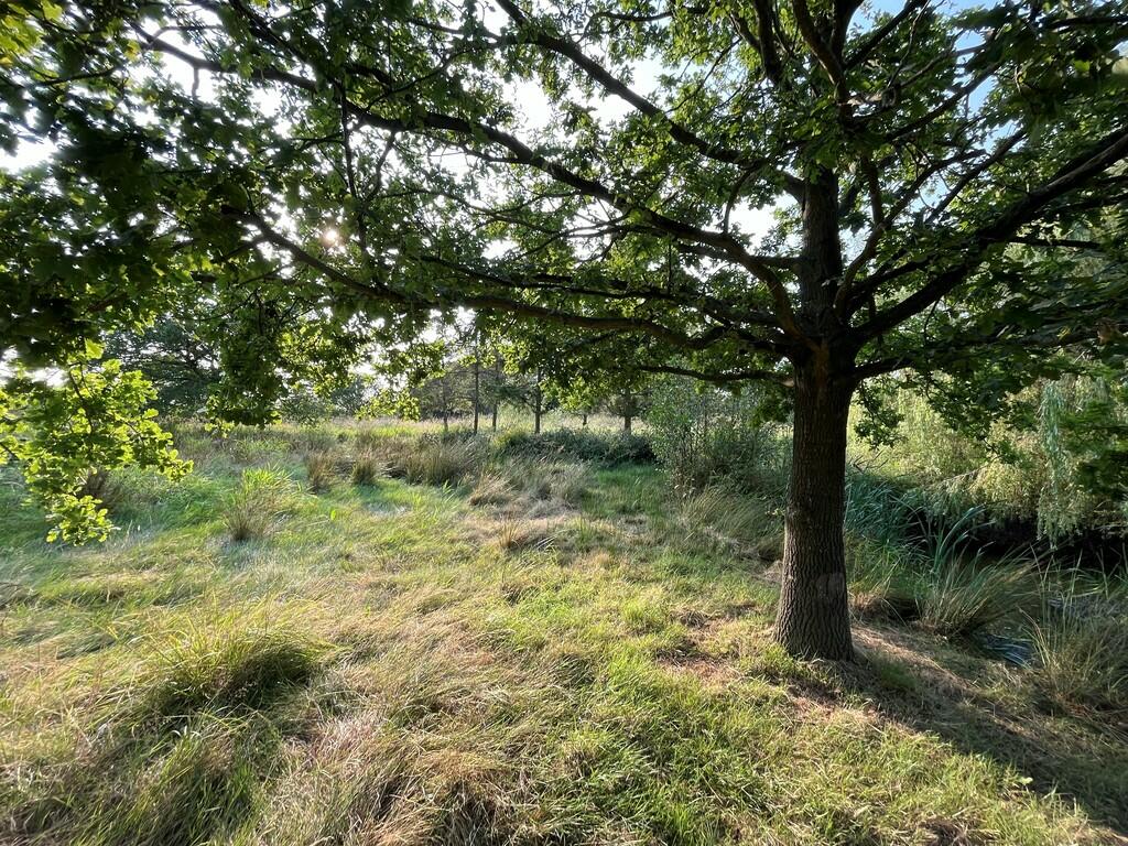 Additional property image - Land to the South of Edward Road, Thorpe-le-Soken