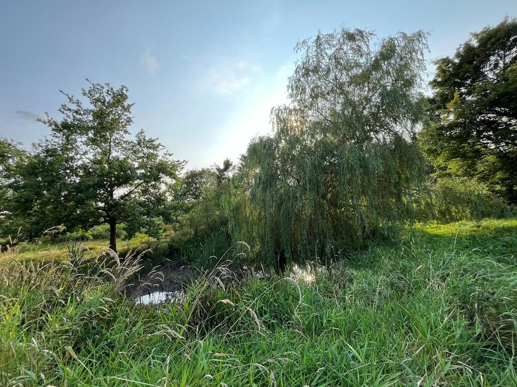 Additional property image - Land to the South of Edward Road, Thorpe-le-Soken