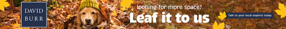 Get brand editions for David Burr Estate Agents, Leavenheath