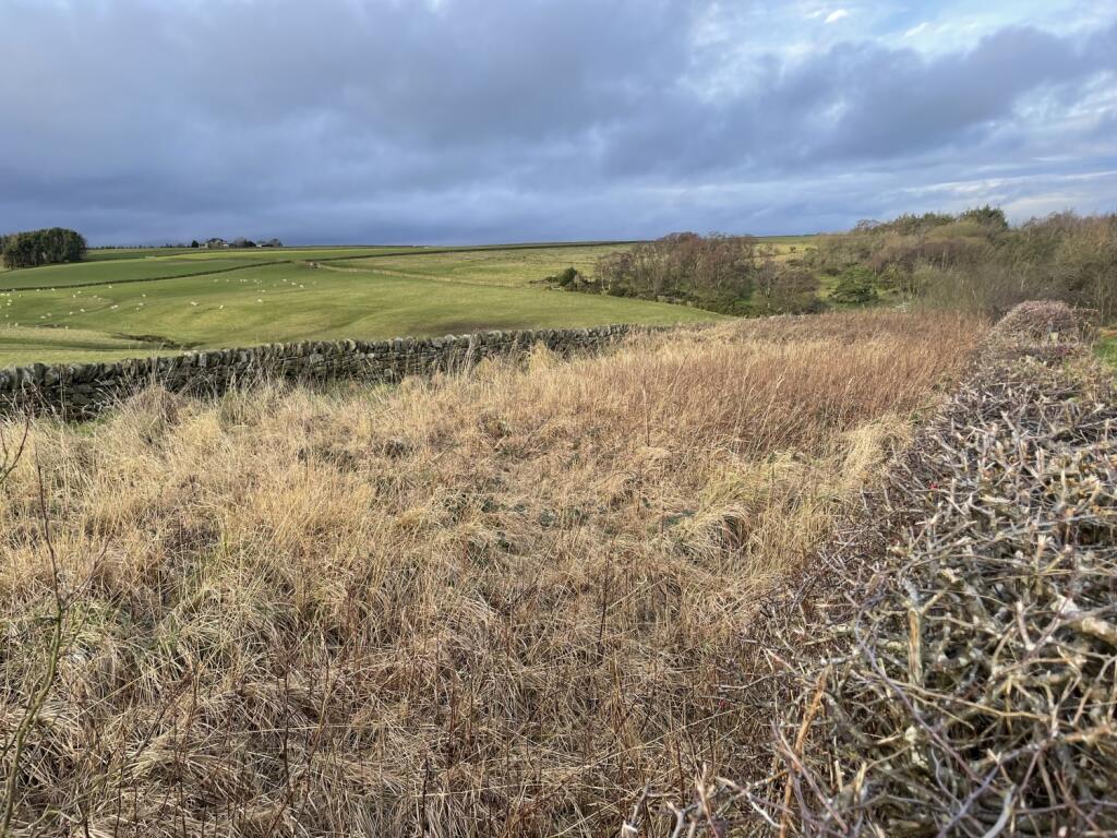 Land for sale in Coalford Lane, Satley, Auckland, County Durham