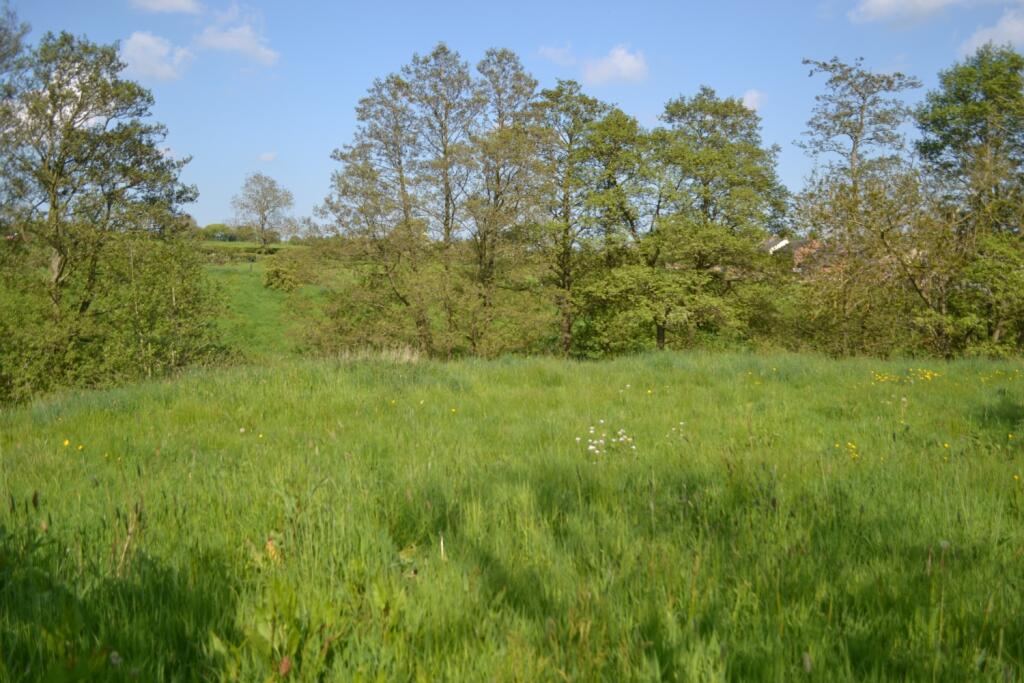 Farm land for sale in Land at Butterknowle, County Durham, DL13