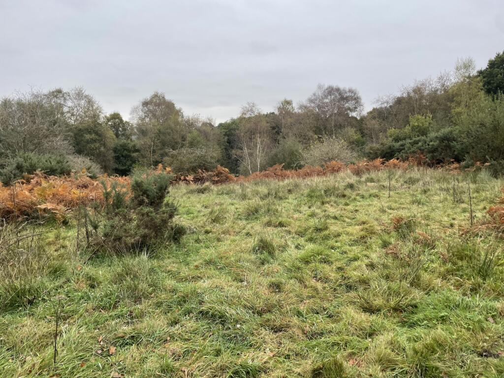 Additional property image - Land at Wallnook Lane, Langley Park, Durham