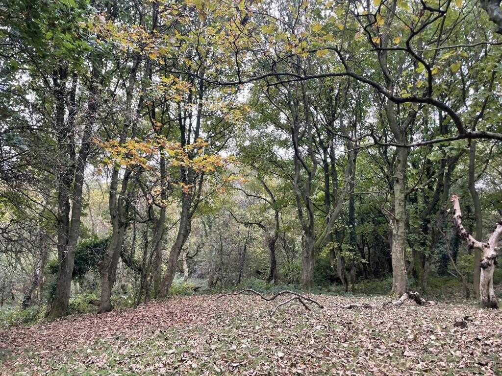 Additional property image - Land at Wallnook Lane, Langley Park, Durham