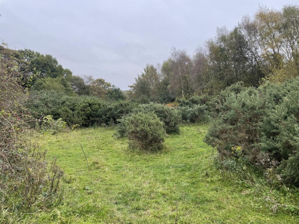 Additional property image - Land at Wallnook Lane, Langley Park, Durham
