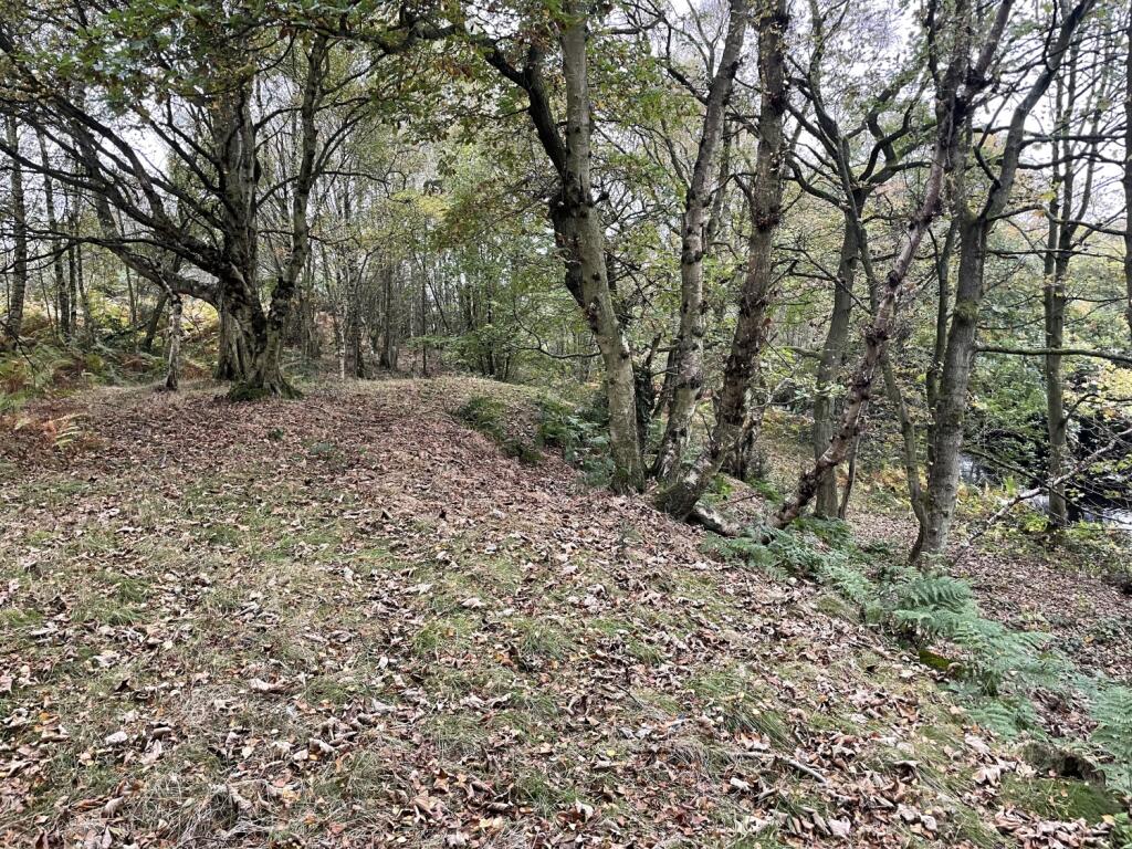 Additional property image - Land at Wallnook Lane, Langley Park, Durham