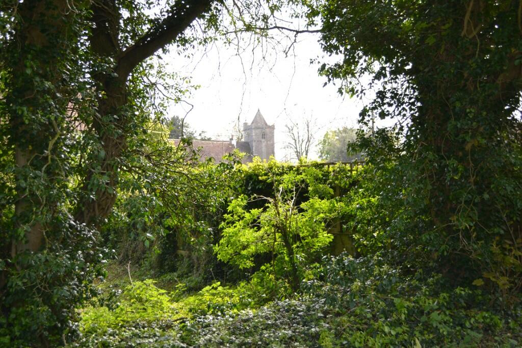 Additional property image - East Langdon