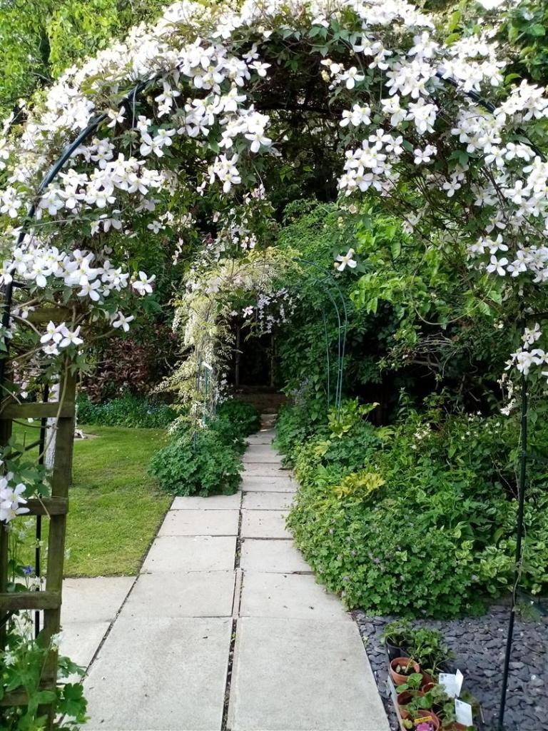 3 bedroom detached bungalow for sale in Bryn Lane, Ridley Wood, Wrexham