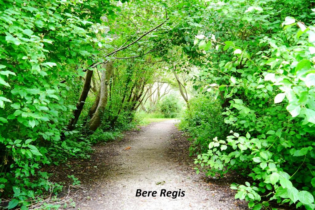 Additional property image - Bere Regis