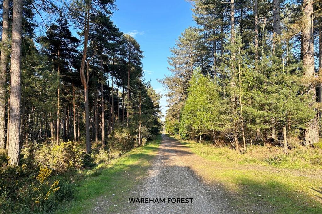 Additional property image - Wareham