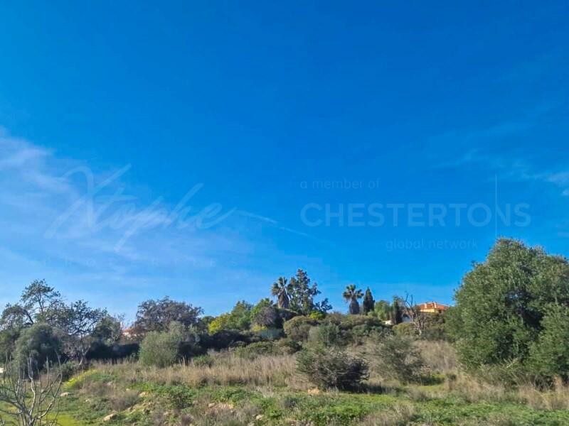 Main image of property: Algarve, Loulé
