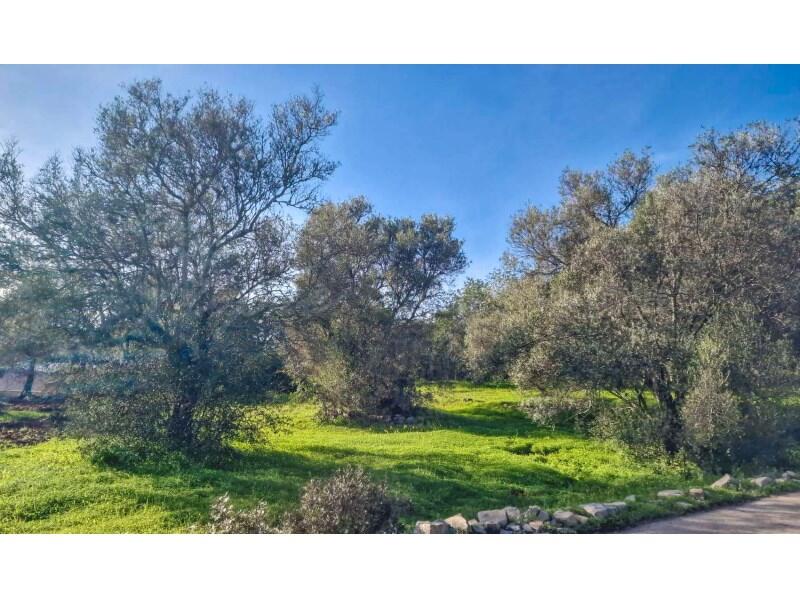 Main image of property: Algarve, São Brás de Alportel