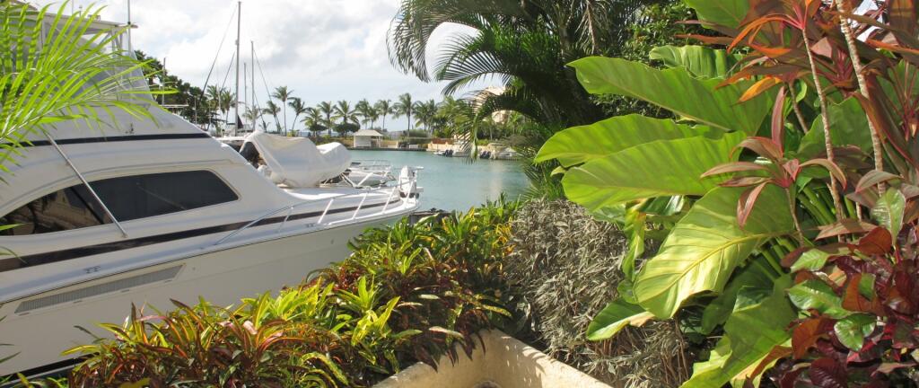 Main image of property: Barbados