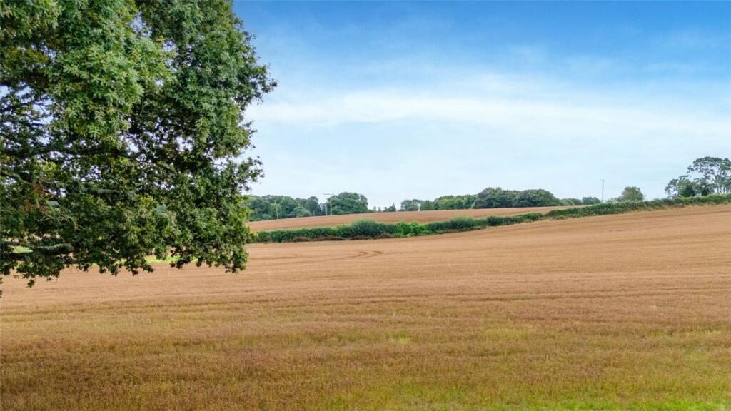 Additional property image - Holt Lane, Holt, Wimborne, Dorset, BH21