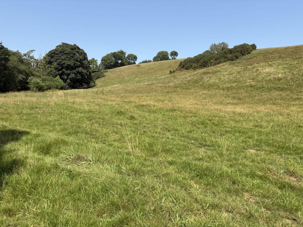 Main image of property: Liskeard