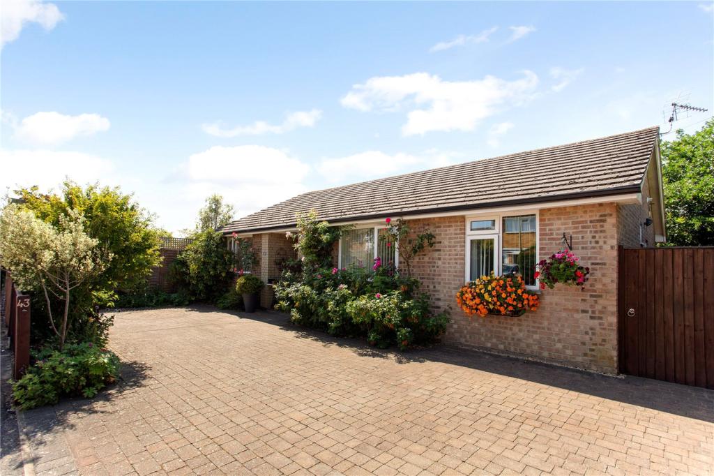 3 bedroom bungalow for sale in Avenue Close, Liphook, Hampshire, GU30