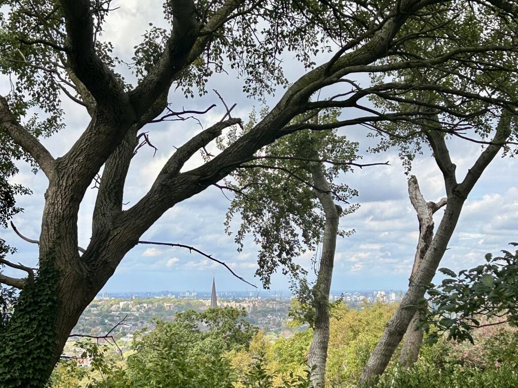 Main image of property: Woodsyre, London, SE26