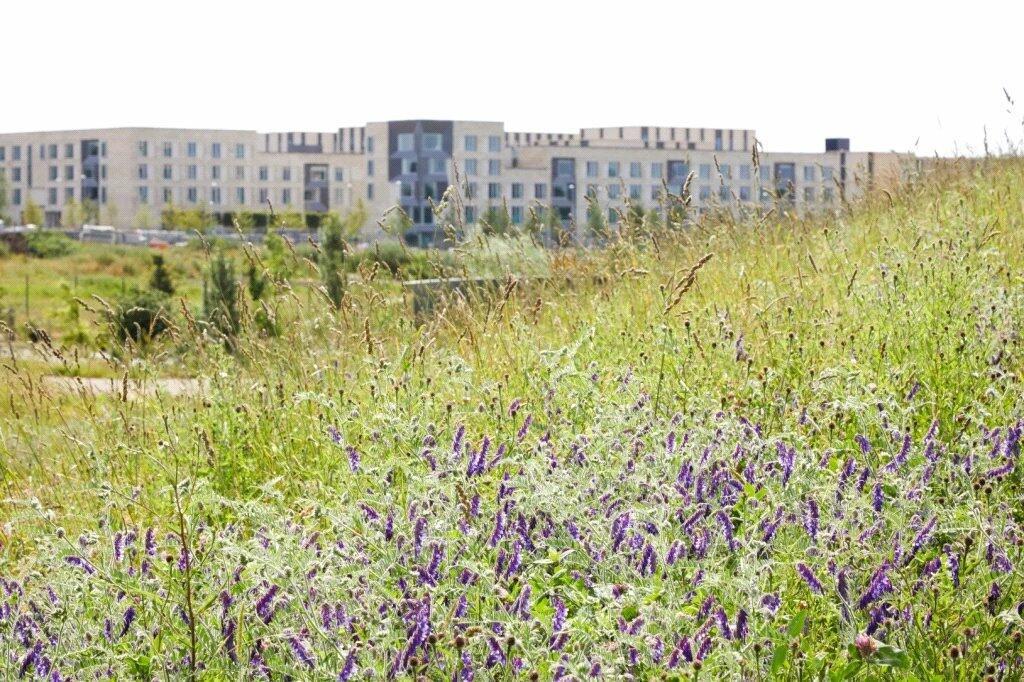 Additional property image - The Beech Building, Rudduck Way, Cambridge