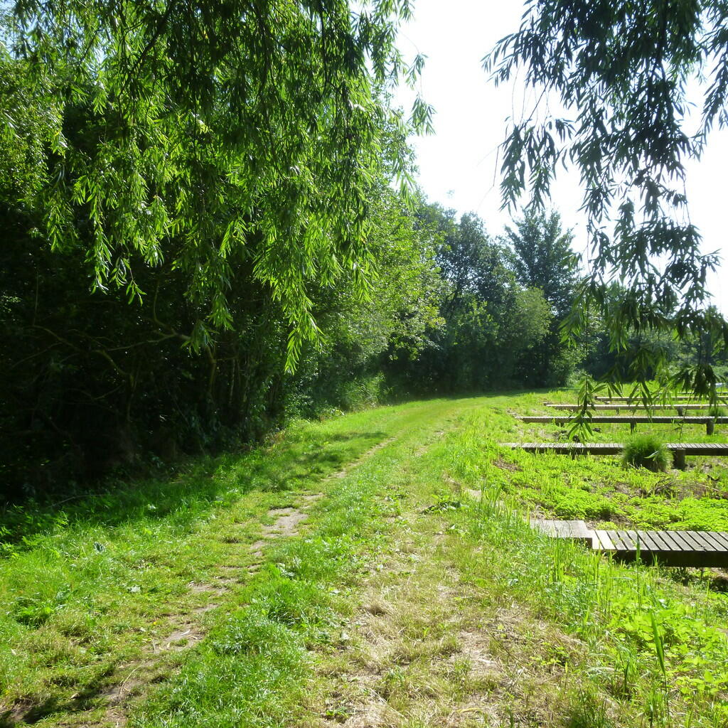 Land for sale in Beccles, NR34